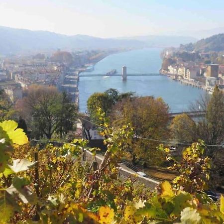 Appartement Vignes Vienne Nord Exteriér fotografie